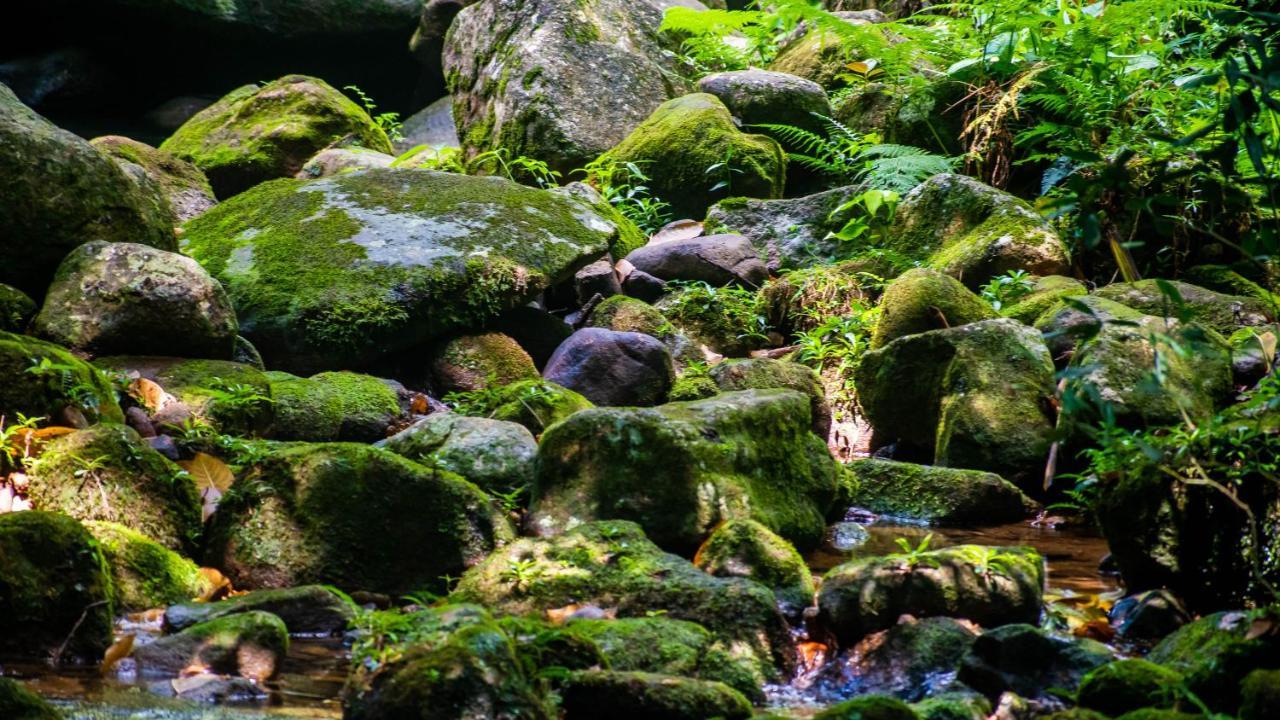 Pousada Ouro Verde Abraão Exterior foto
