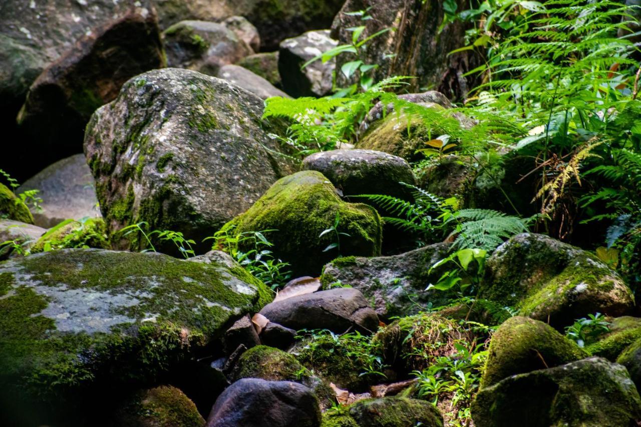 Pousada Ouro Verde Abraão Exterior foto
